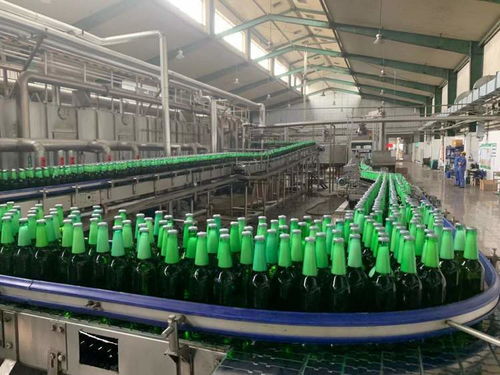 一表集成、自动计算 上海17税费种综合申报赋能企业智慧办税